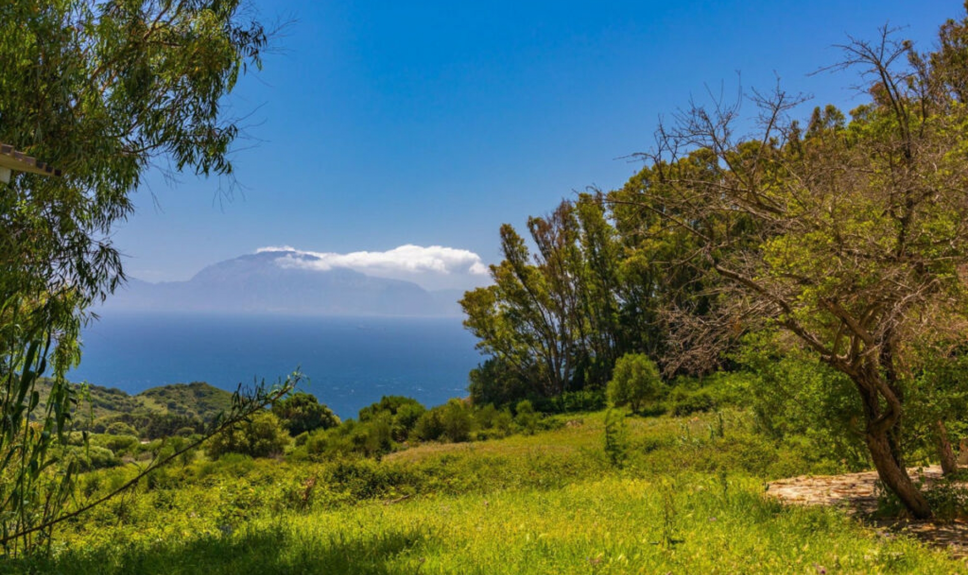 Resale - House -
Tarifa