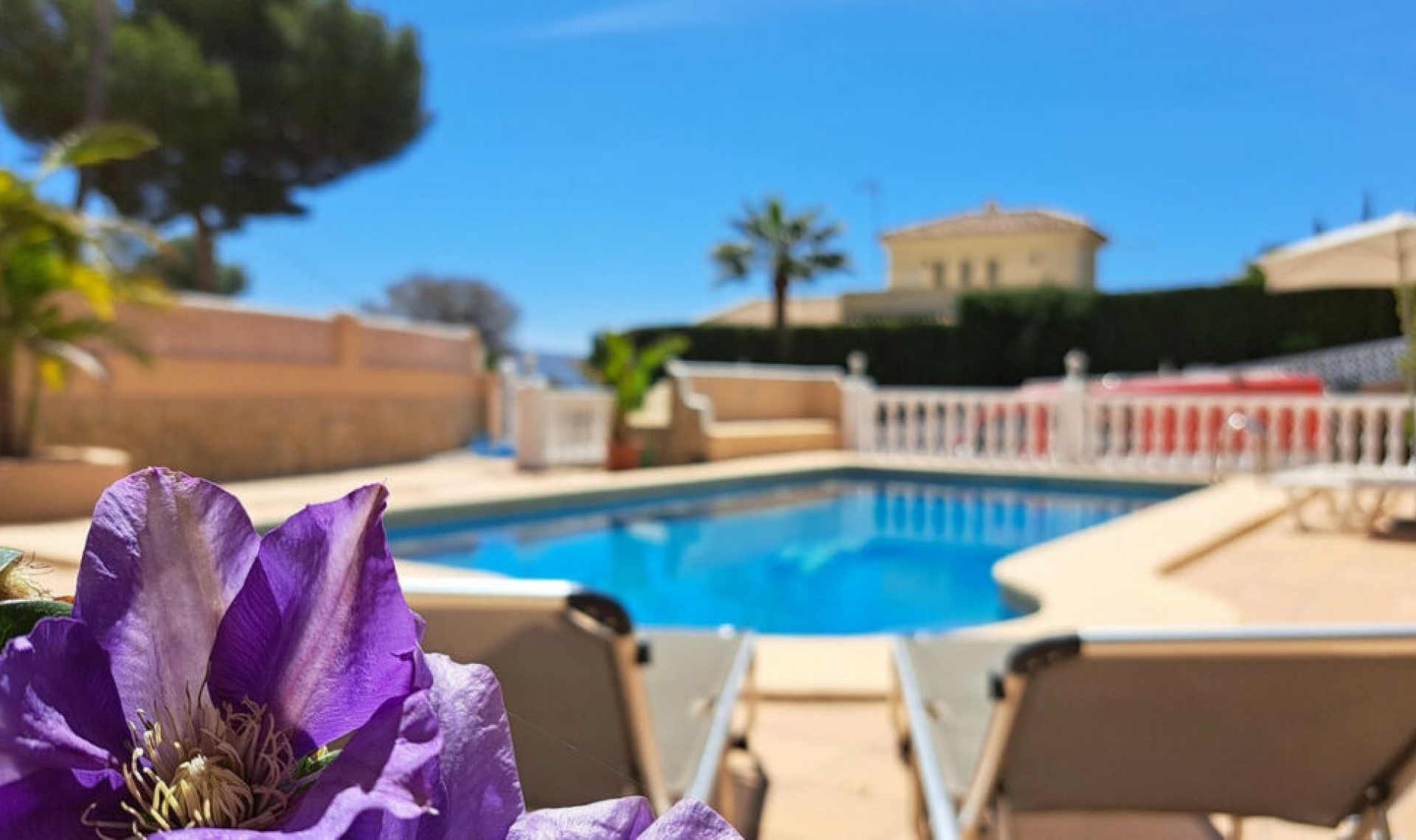 Resale - House -
Teulada