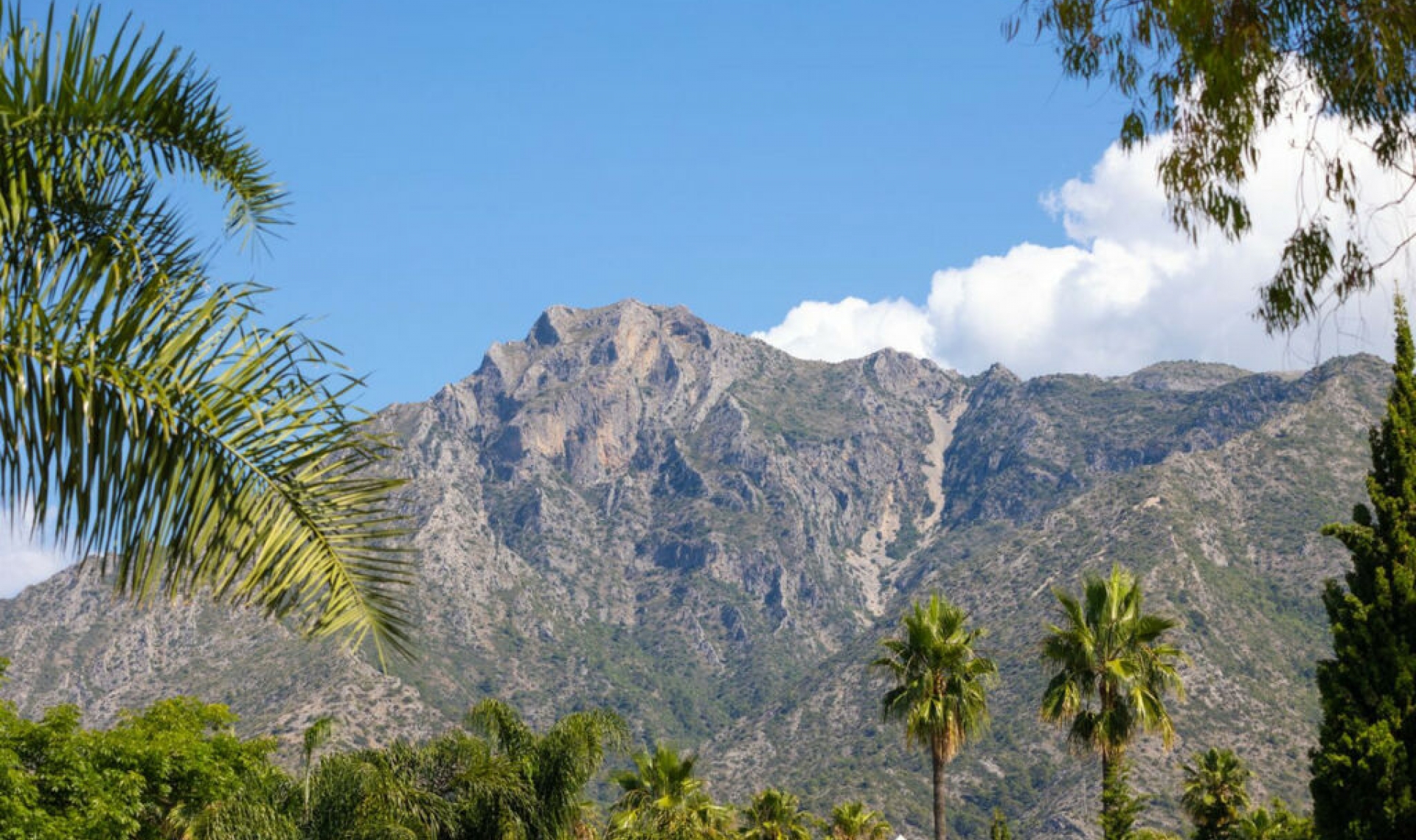 Resale - House -
The Golden Mile