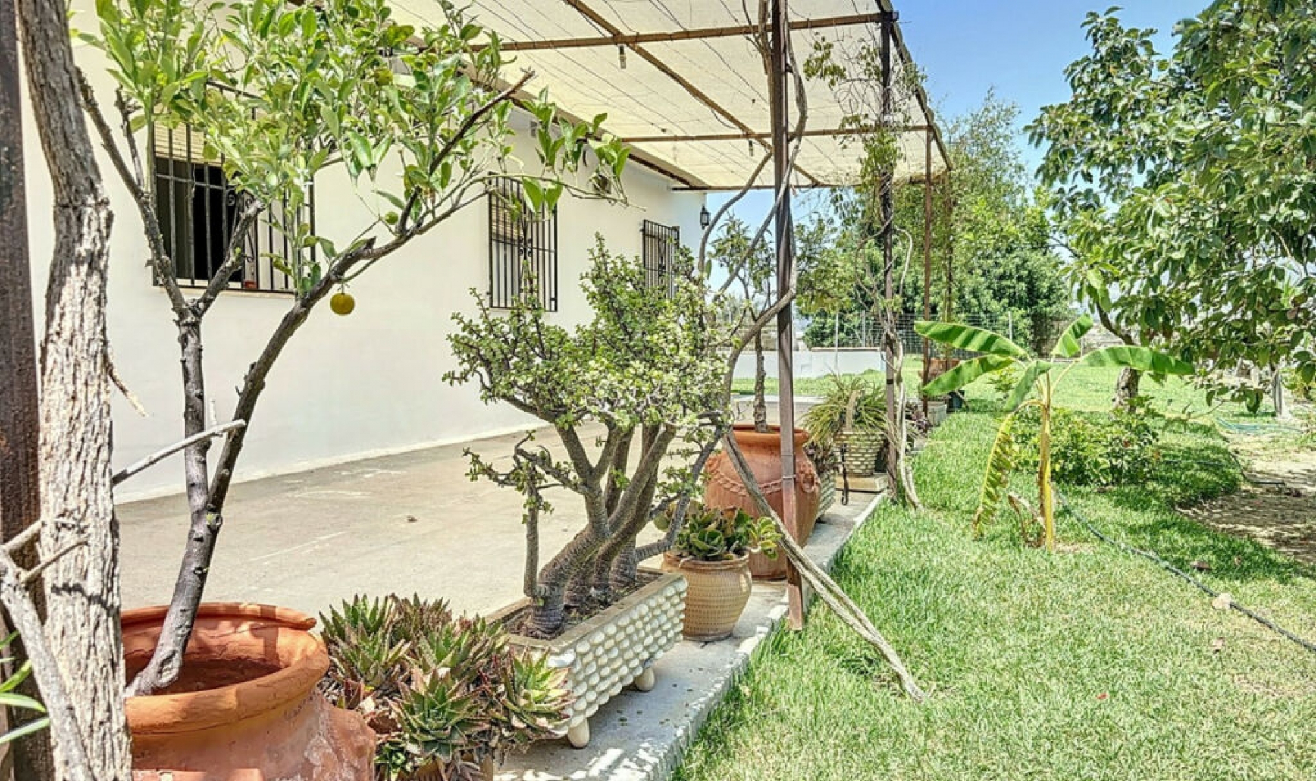 Resale - House -
Torre del Mar