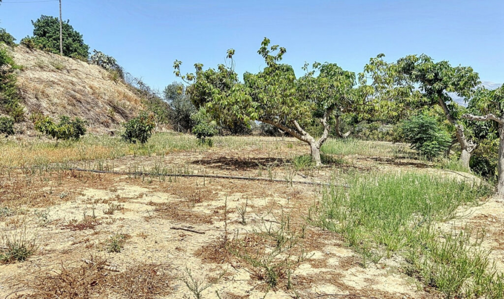 Resale - House -
Torre del Mar