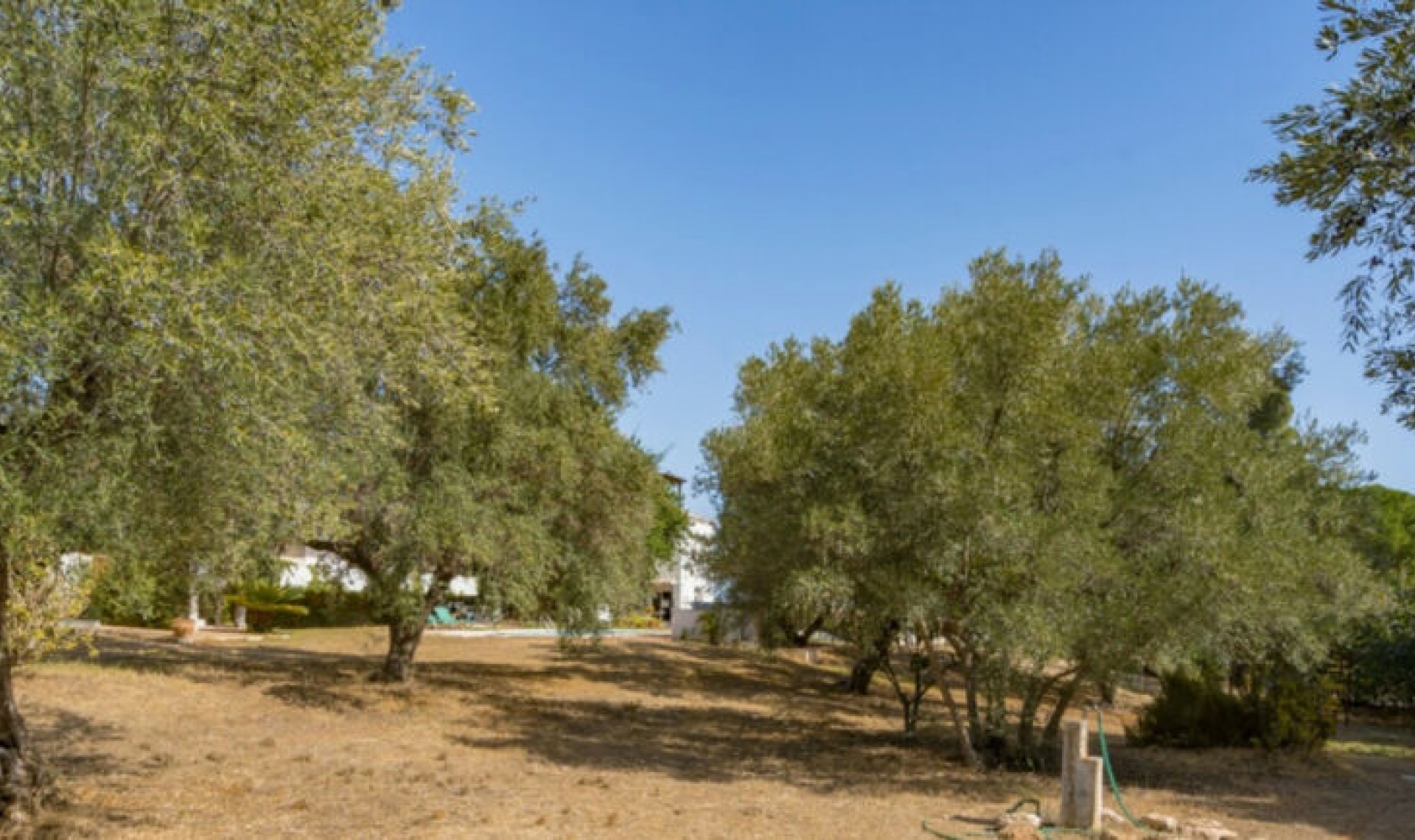 Resale - House -
Torremolinos