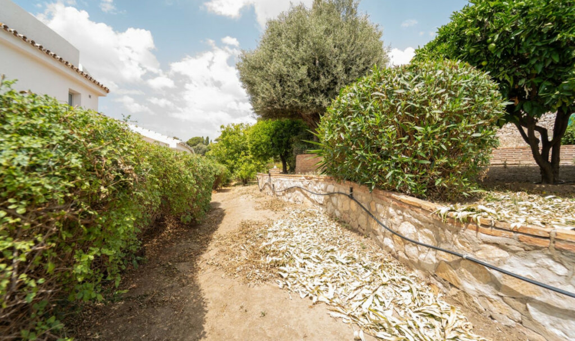 Resale - House -
Torremuelle