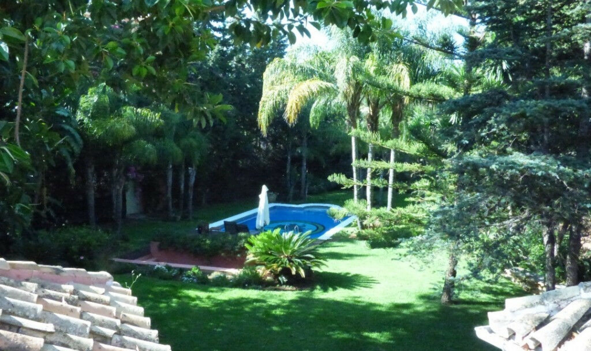 Resale - House -
Torrenueva