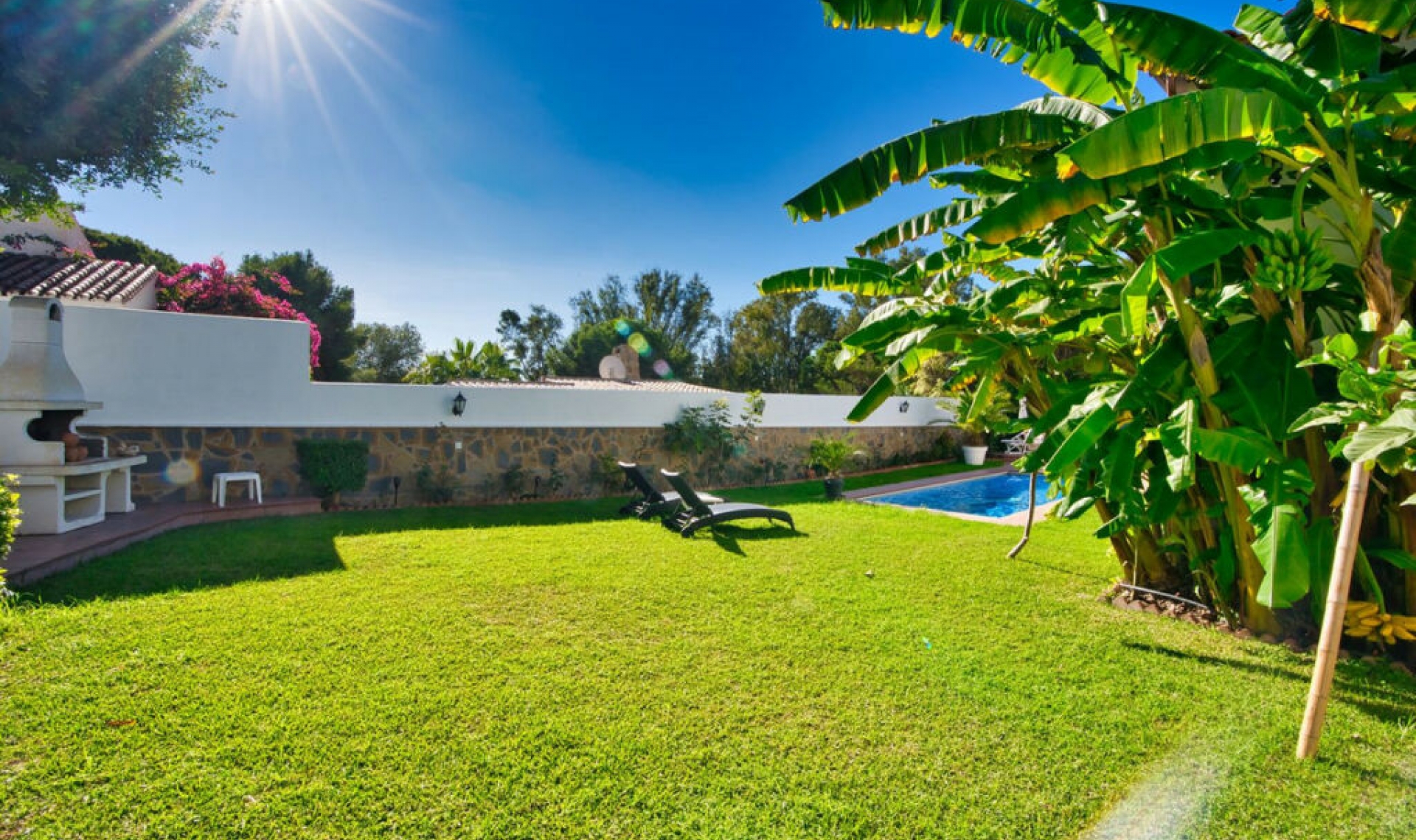 Resale - House -
Torrenueva