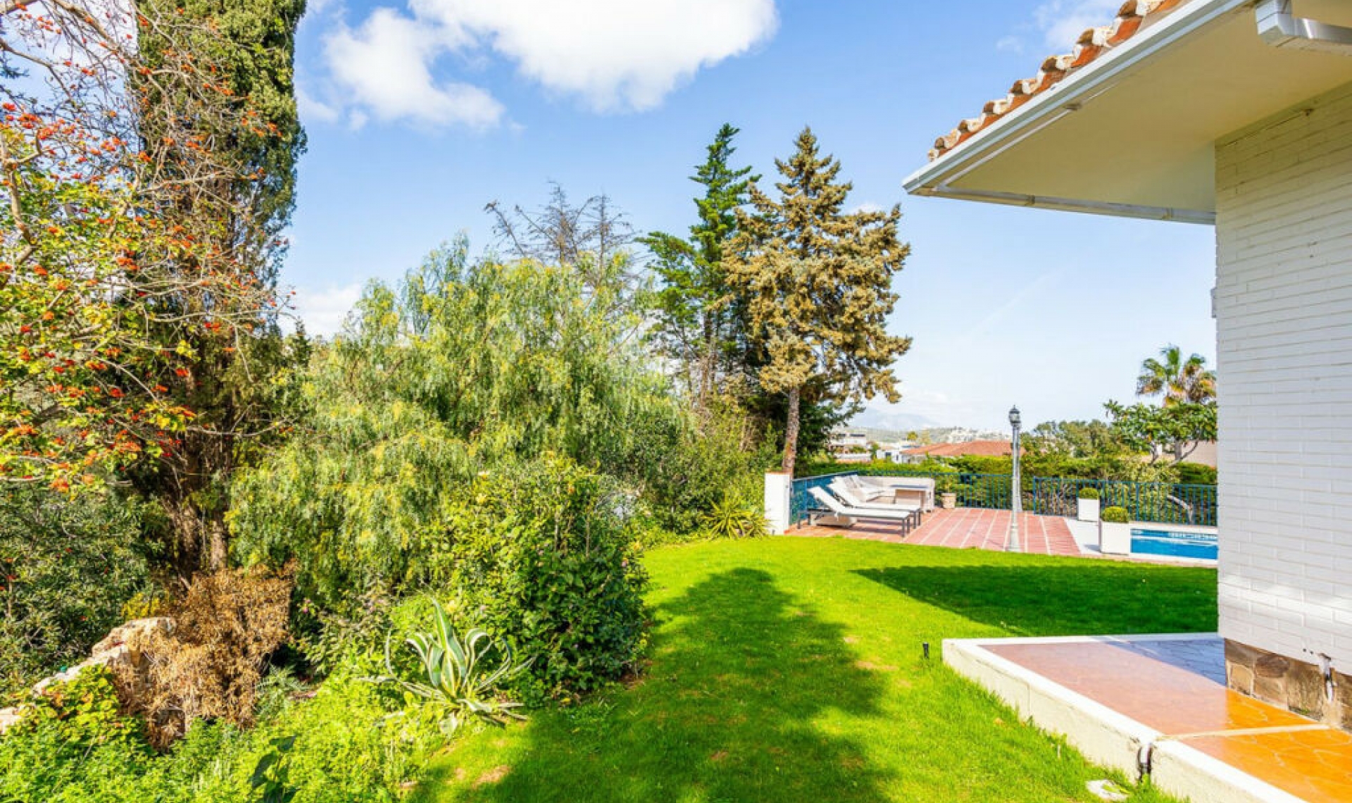 Resale - House -
Torrenueva