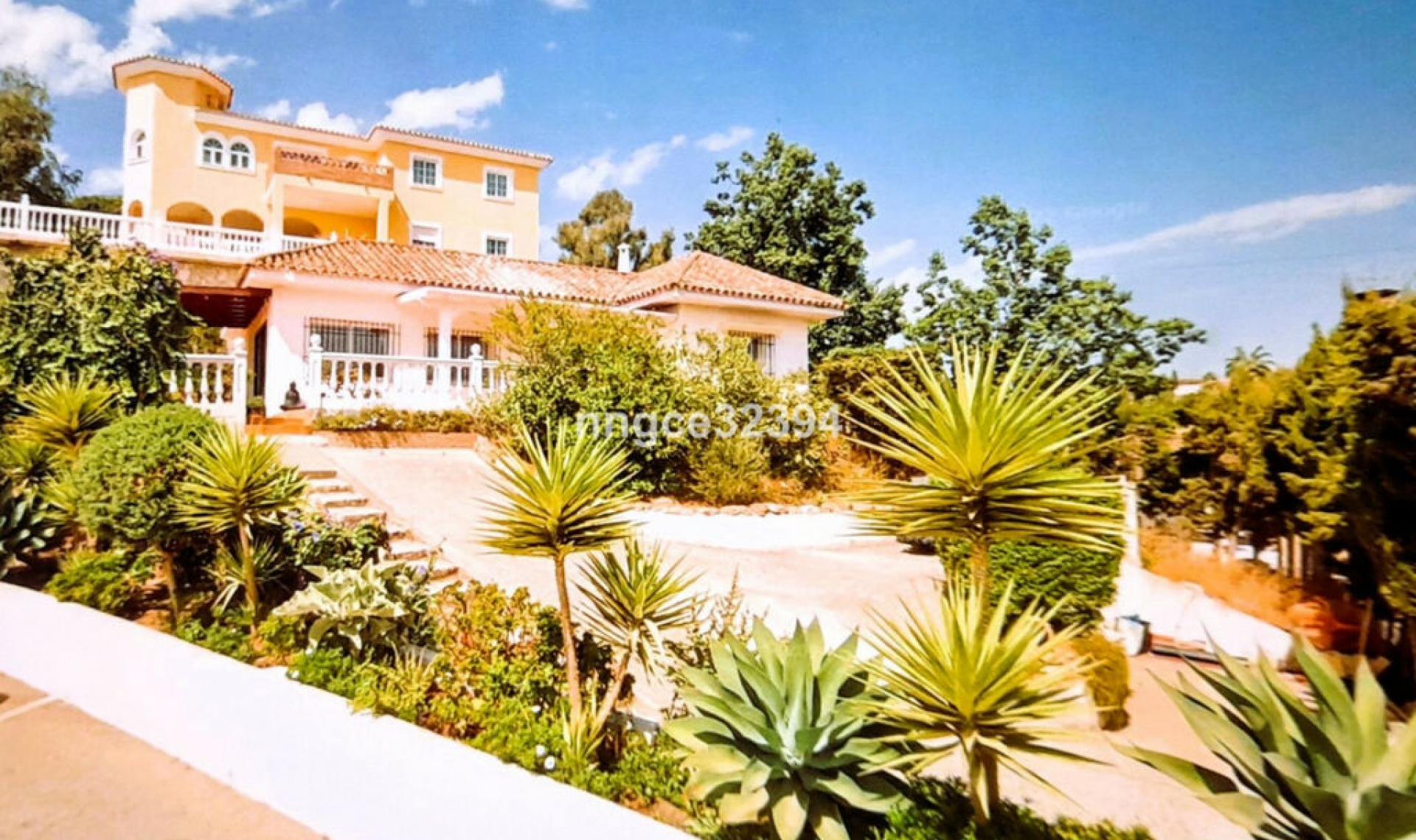 Resale - House -
Torrenueva