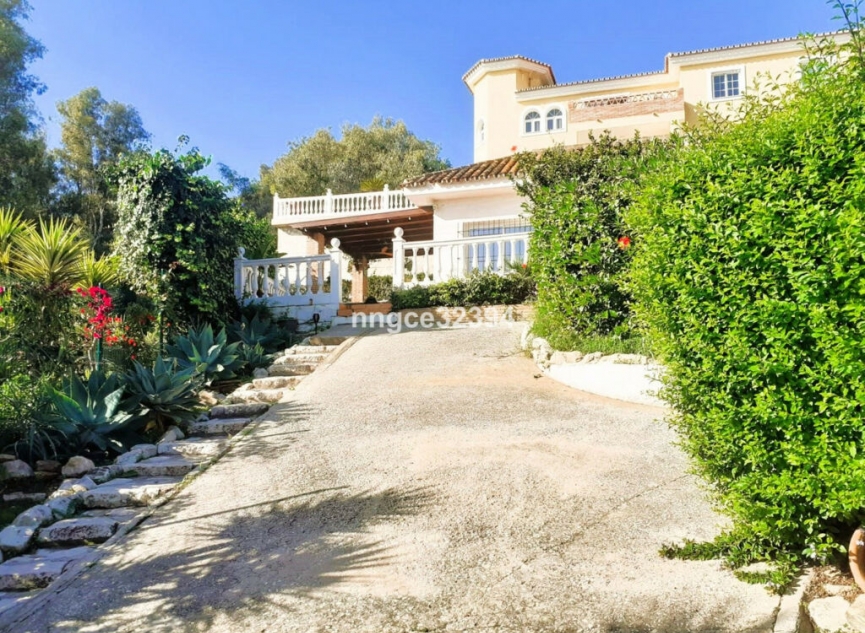 Resale - House -
Torrenueva