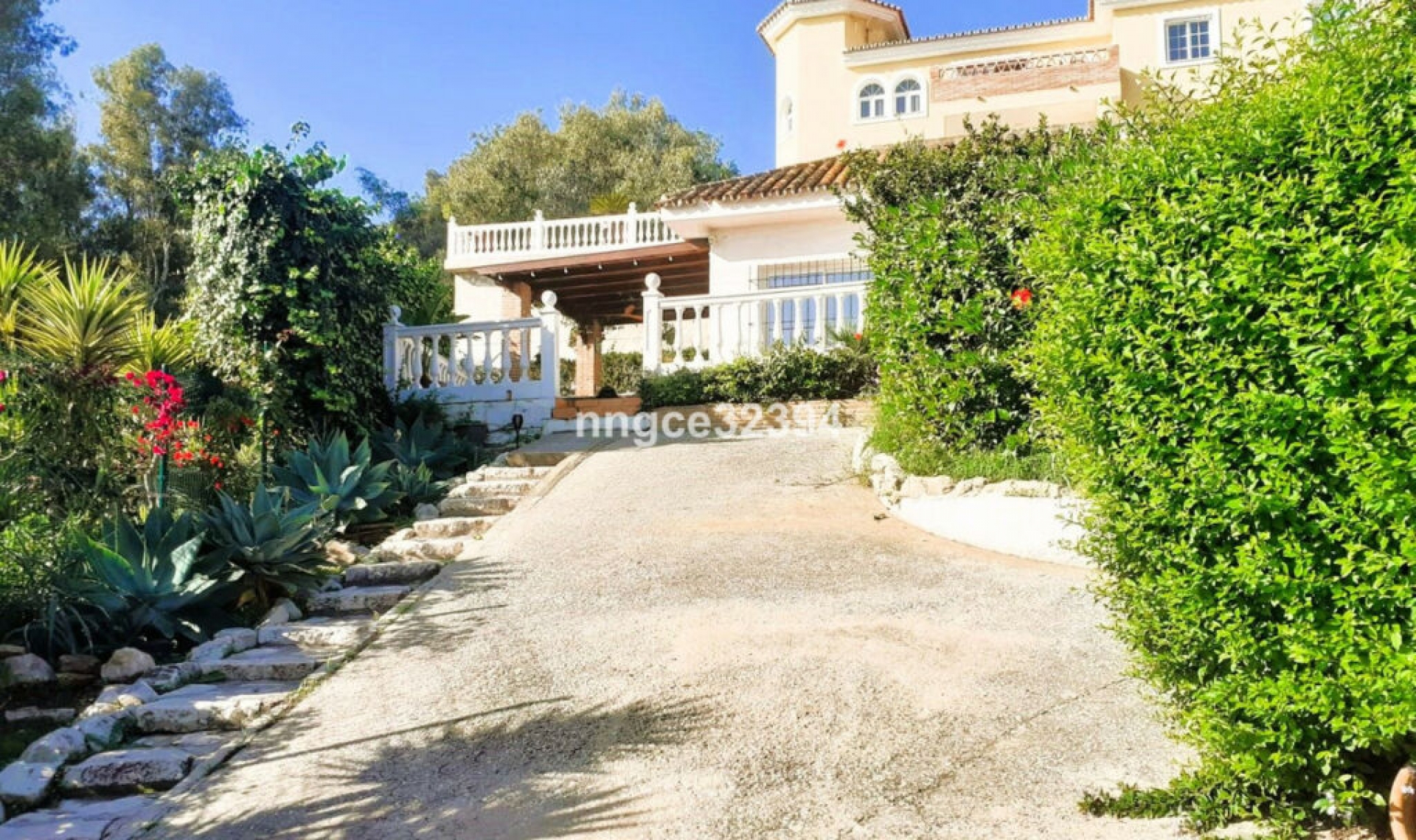 Resale - House -
Torrenueva