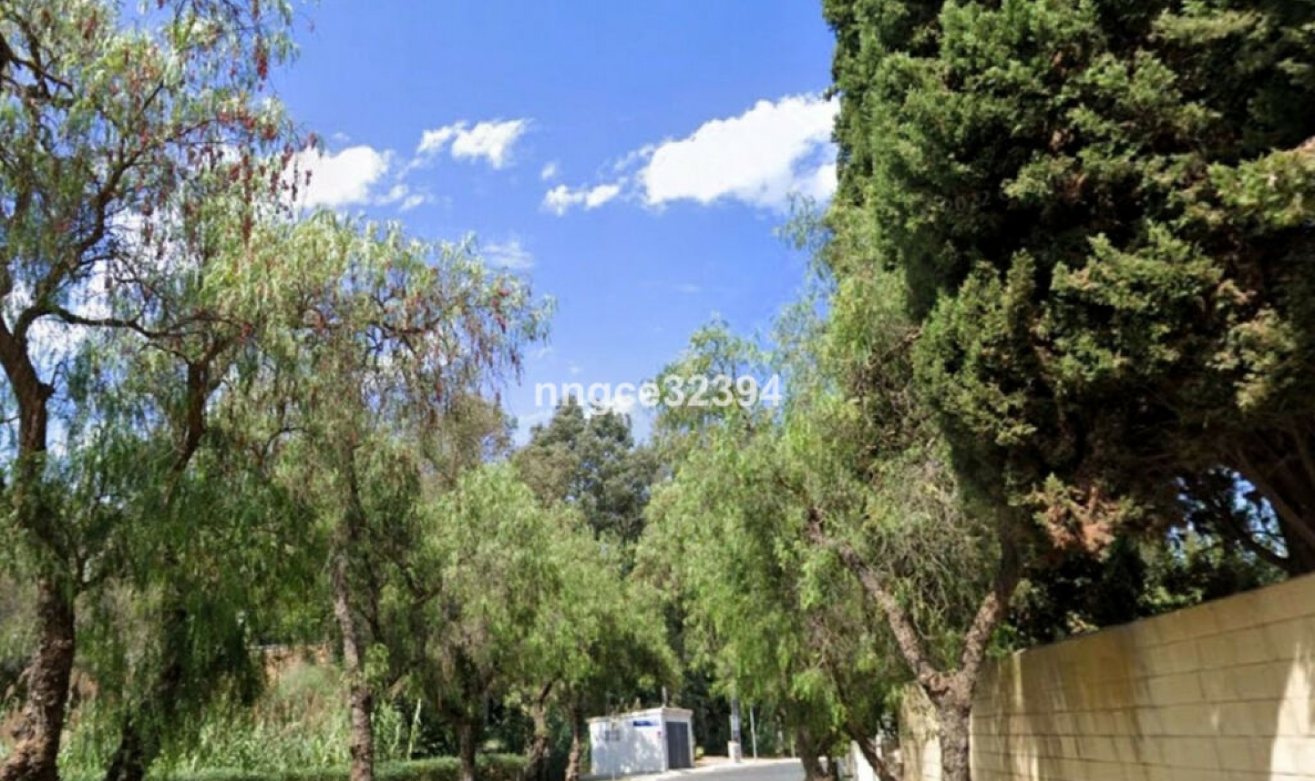 Resale - House -
Torrenueva