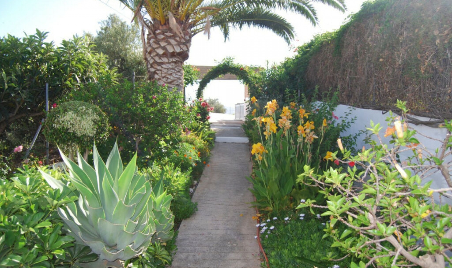 Resale - House -
Torrox Costa