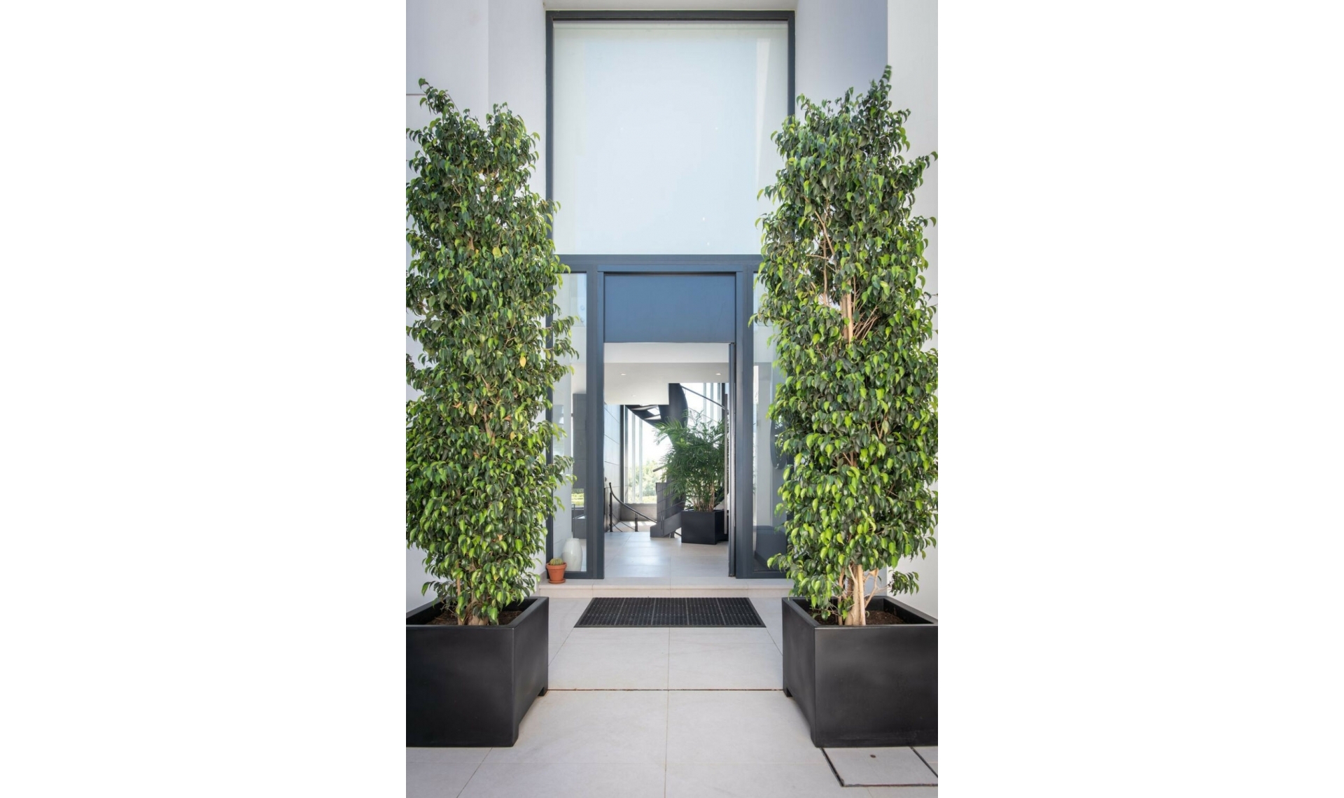 Resale - House -
Valle Romano