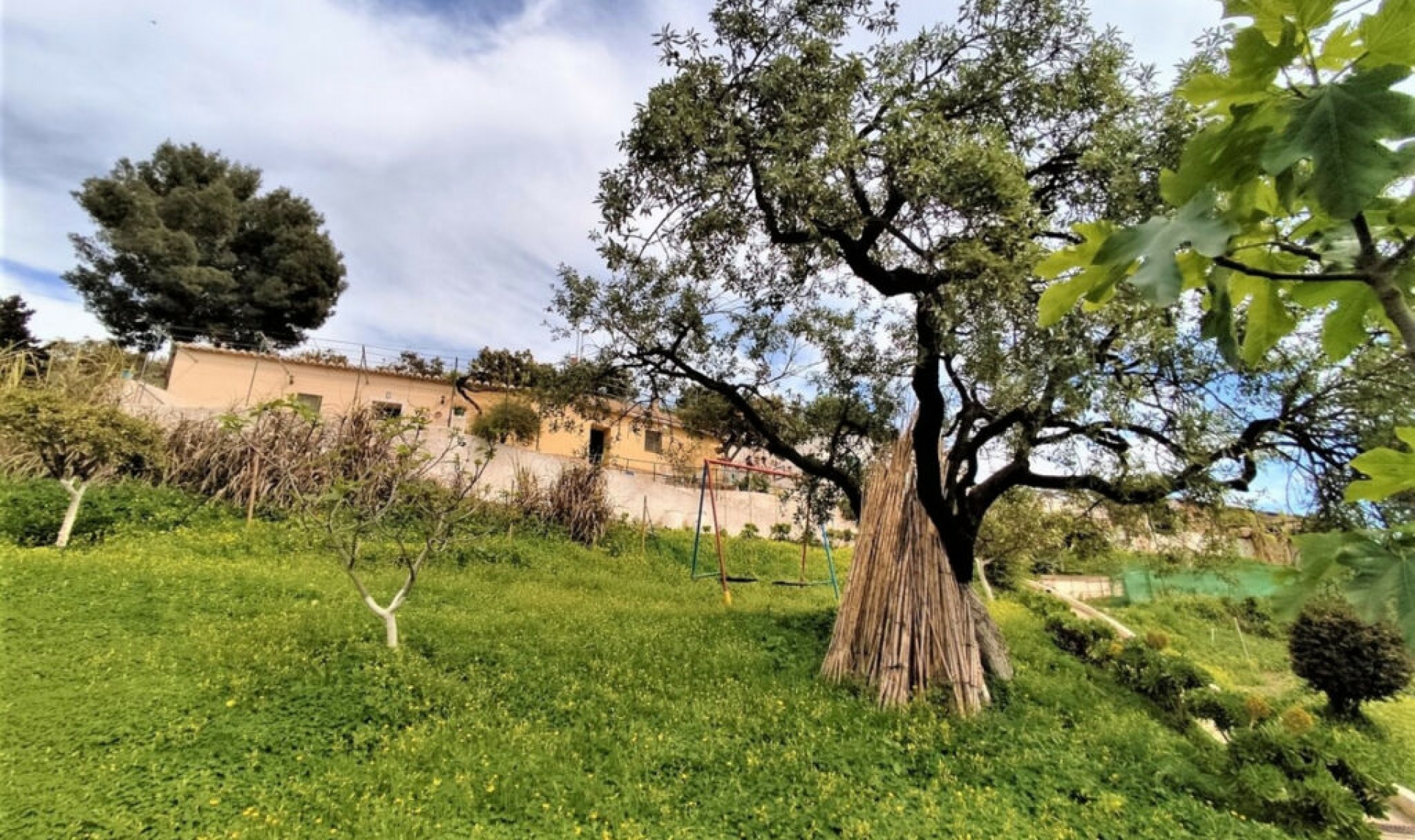 Resale - House -
Vélez-Málaga