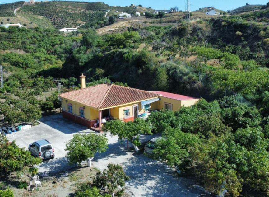 Resale - House -
Vélez-Málaga