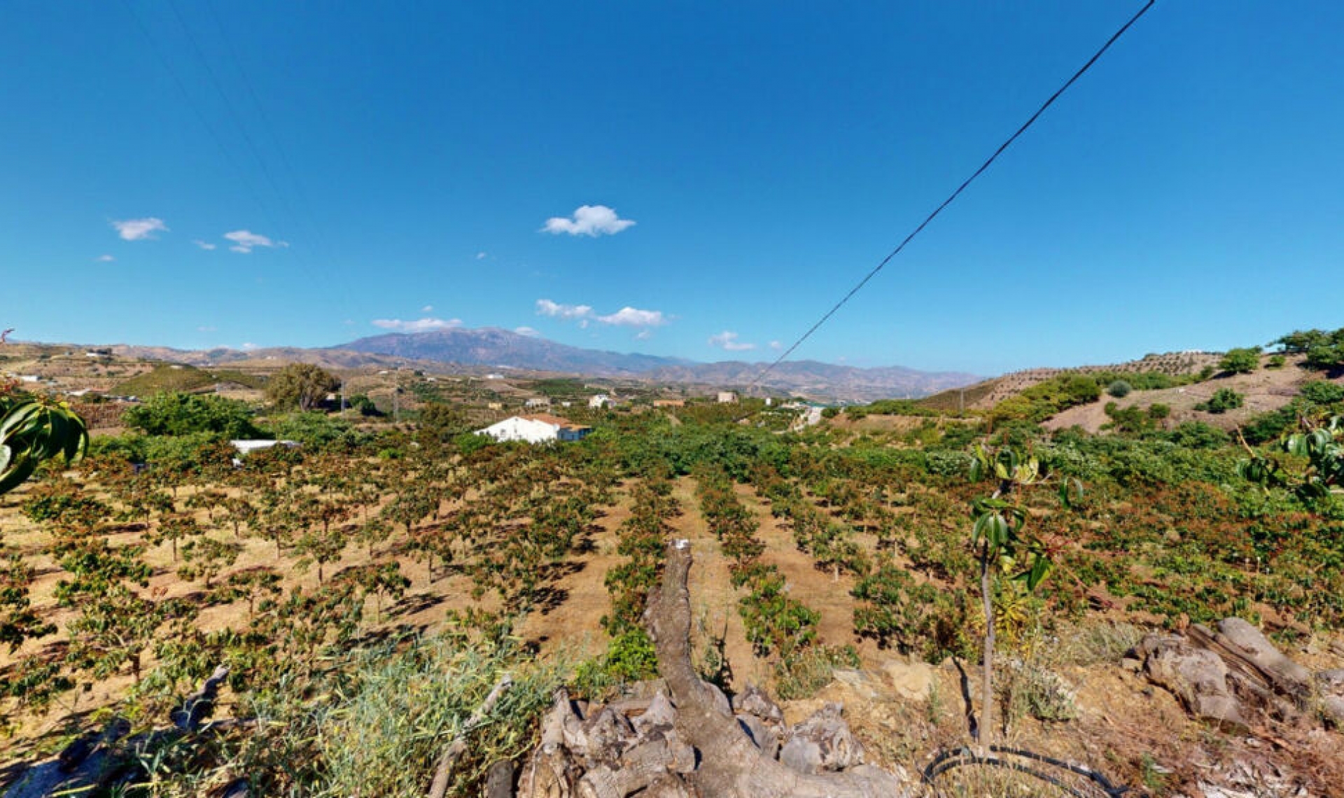 Resale - House -
Vélez-Málaga