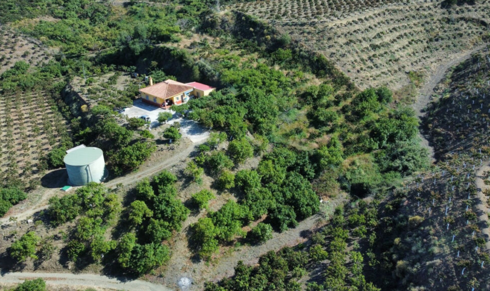 Resale - House -
Vélez-Málaga