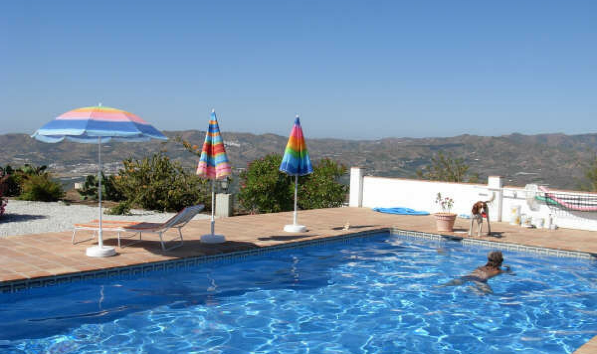 Resale - House -
Vélez-Málaga