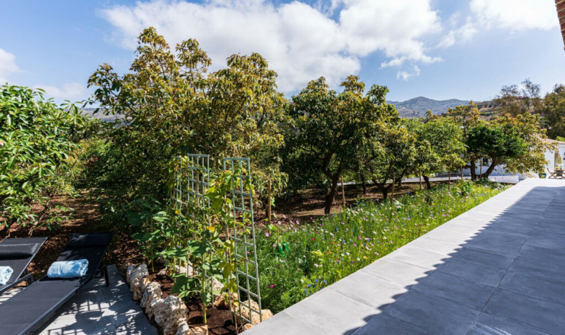 Resale - House -
Vélez-Málaga