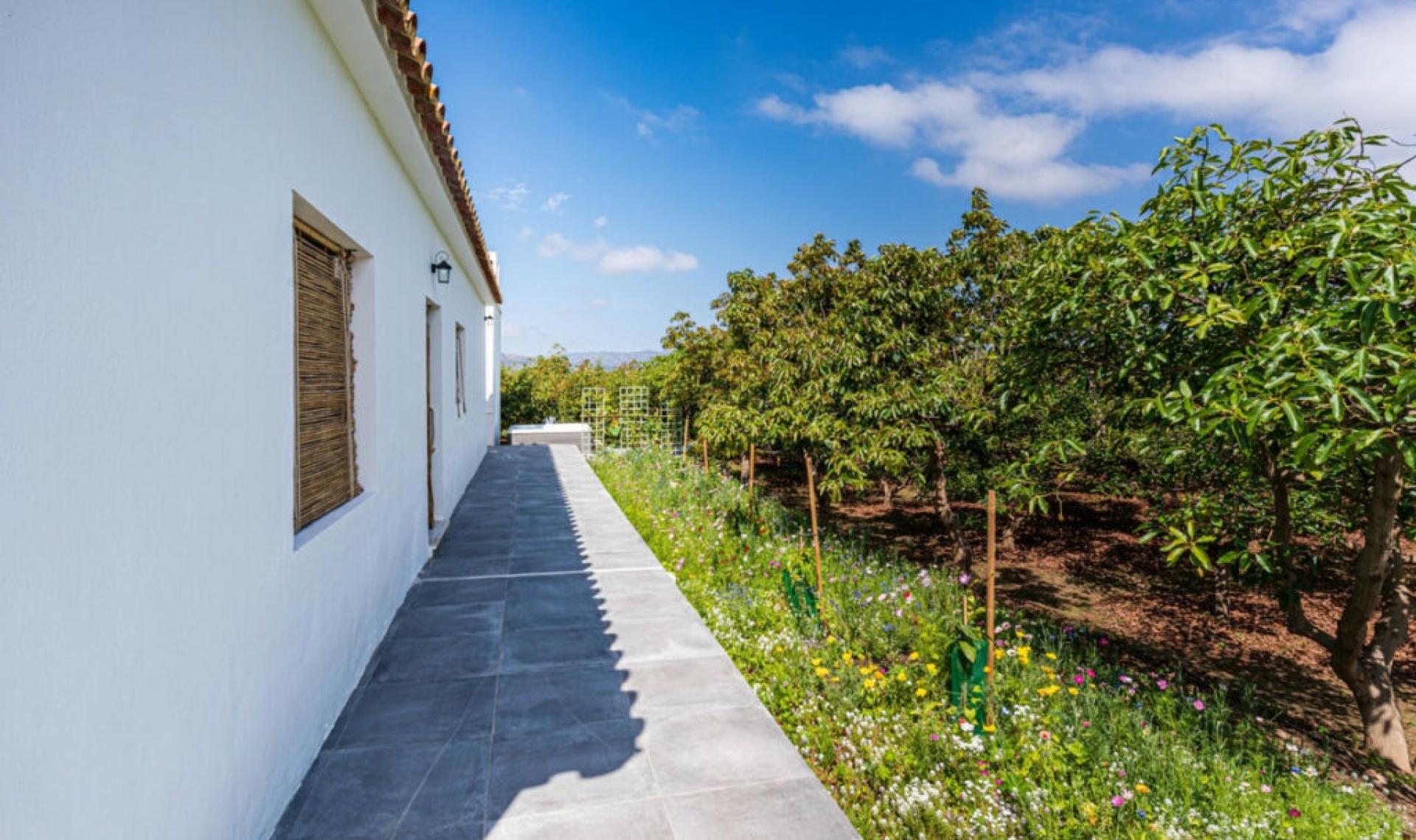 Resale - House -
Vélez-Málaga