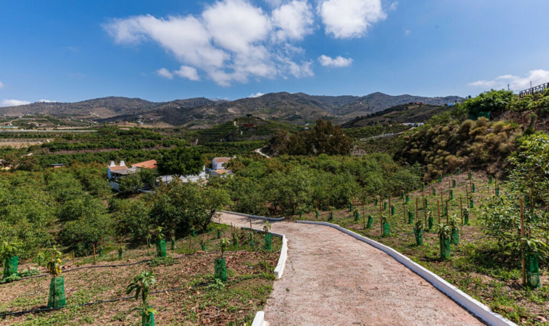 Resale - House -
Vélez-Málaga