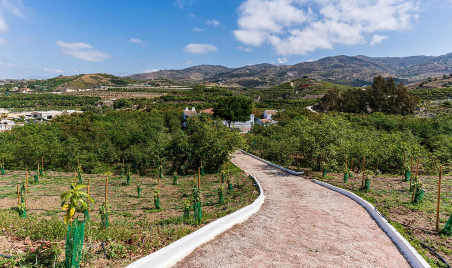 Resale - House -
Vélez-Málaga