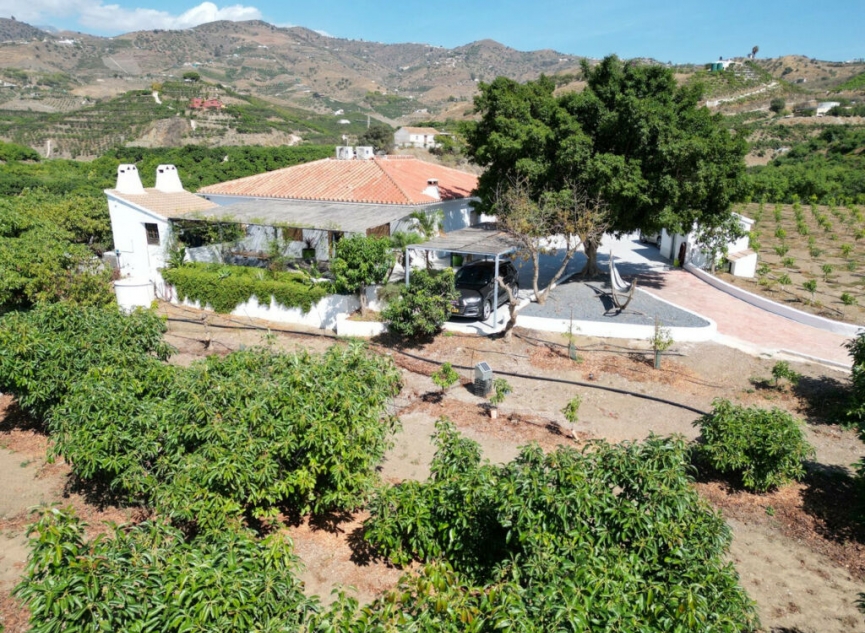 Resale - House -
Vélez-Málaga