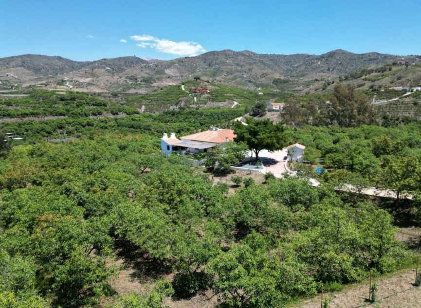 Resale - House -
Vélez-Málaga