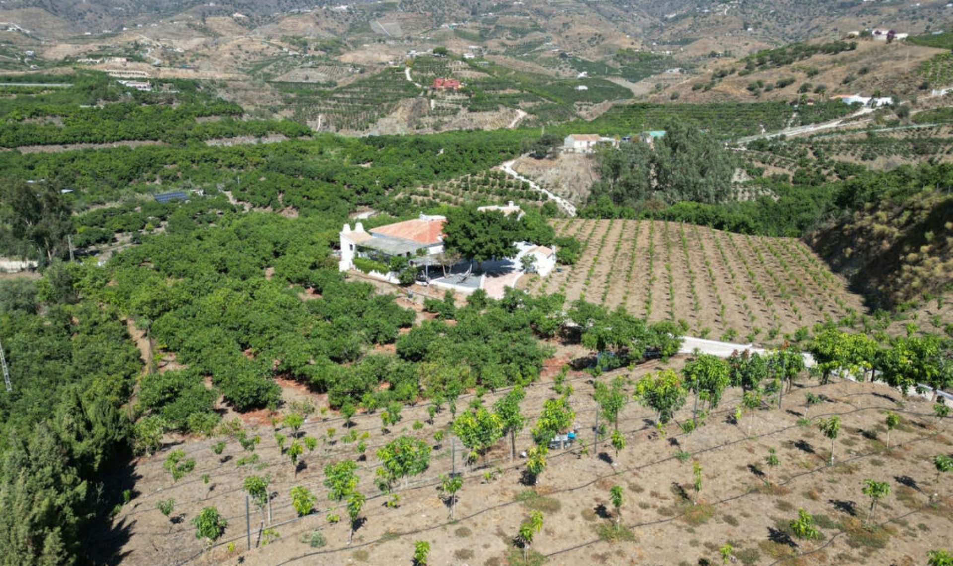 Resale - House -
Vélez-Málaga