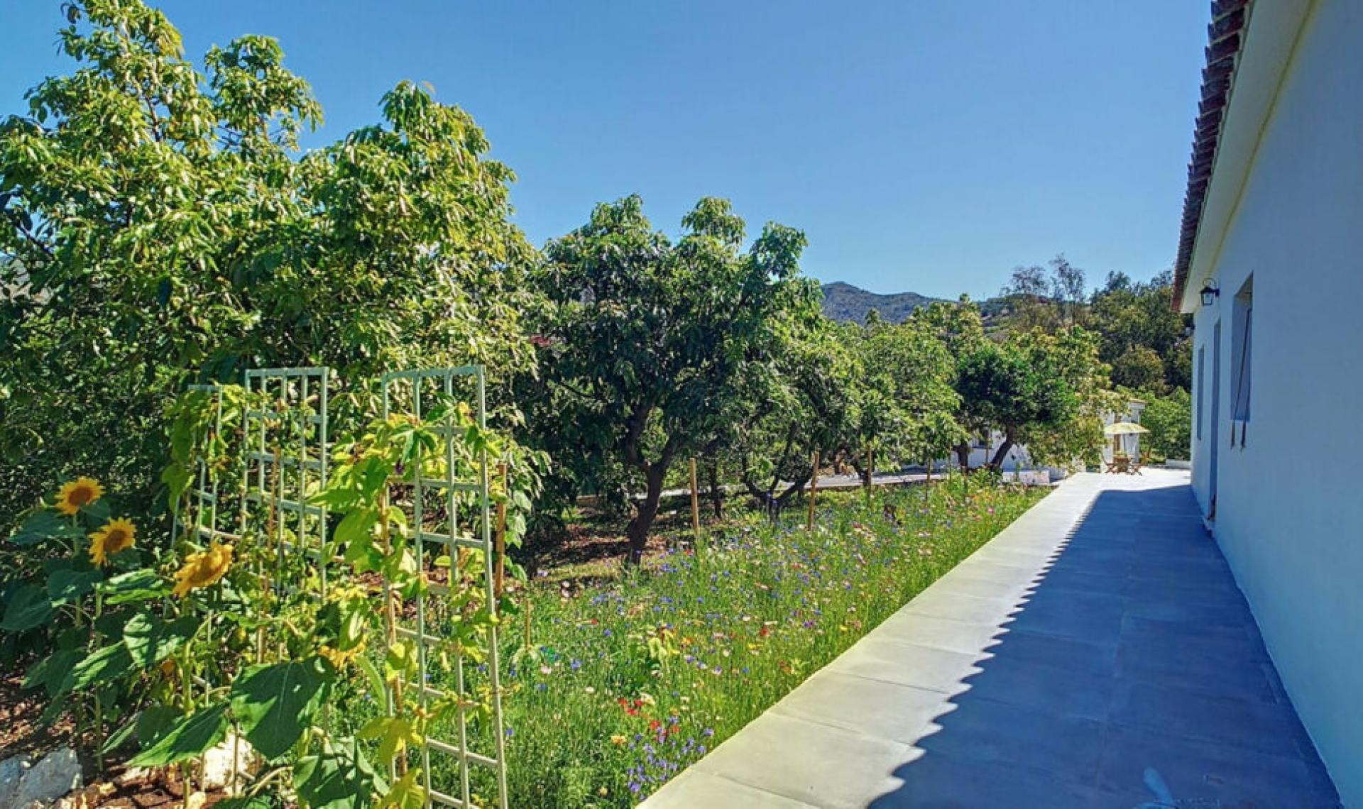 Resale - House -
Vélez-Málaga