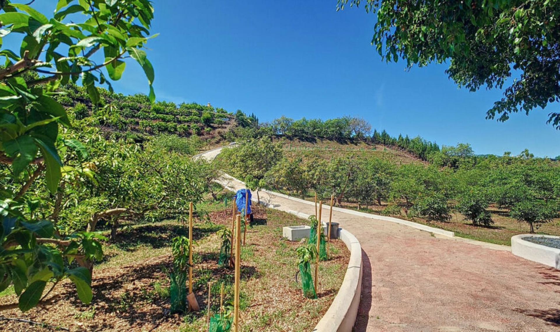 Resale - House -
Vélez-Málaga