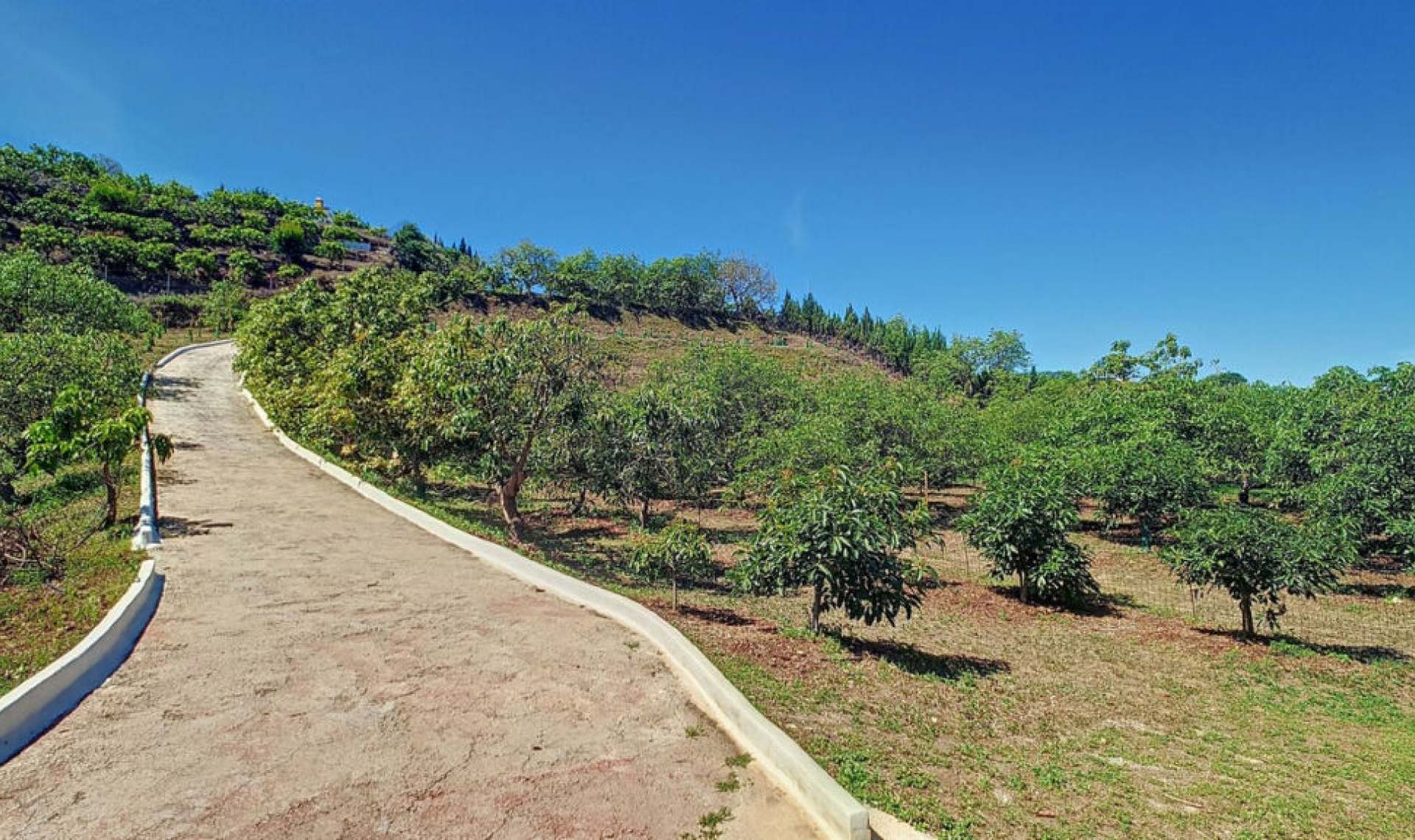 Resale - House -
Vélez-Málaga