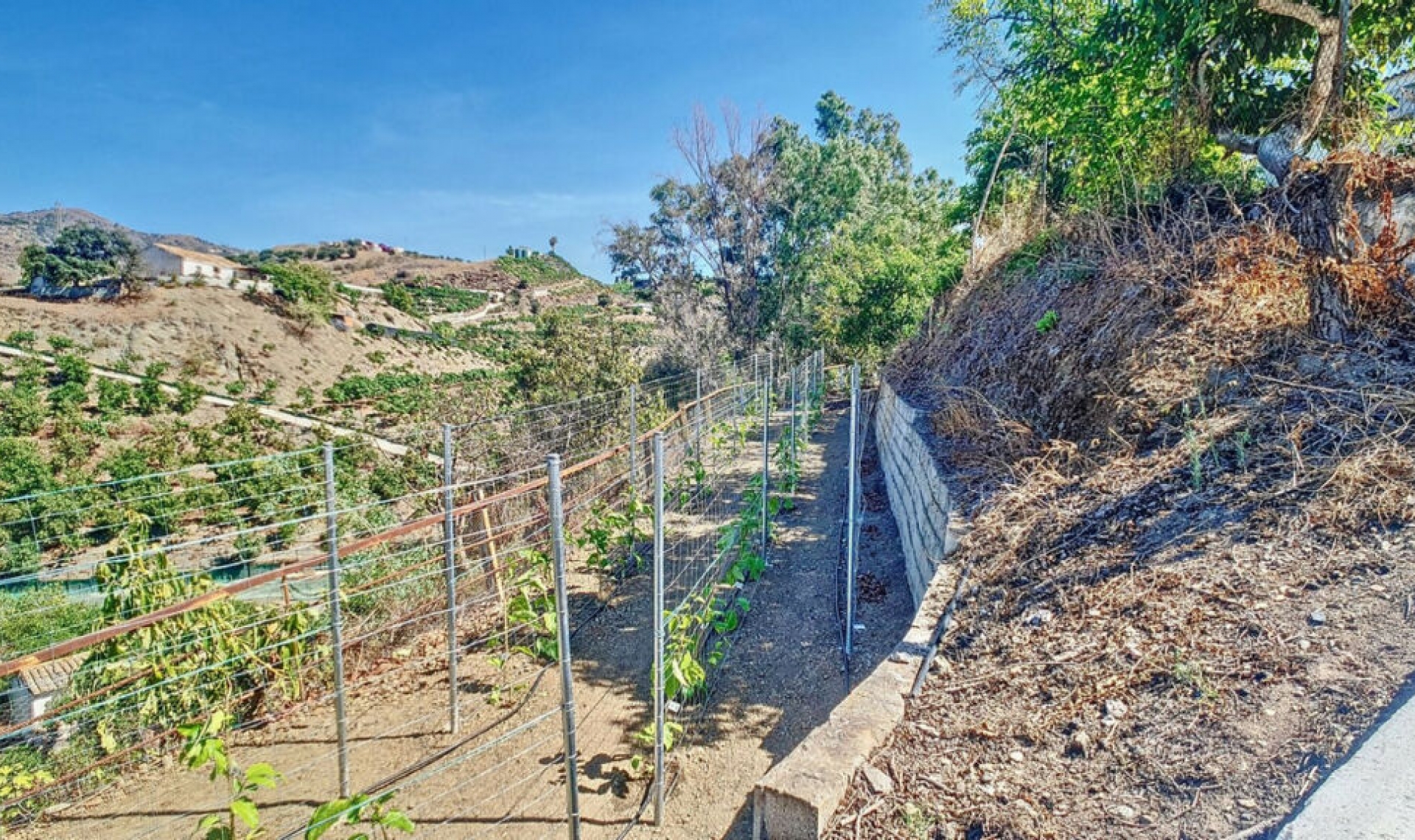 Resale - House -
Vélez-Málaga