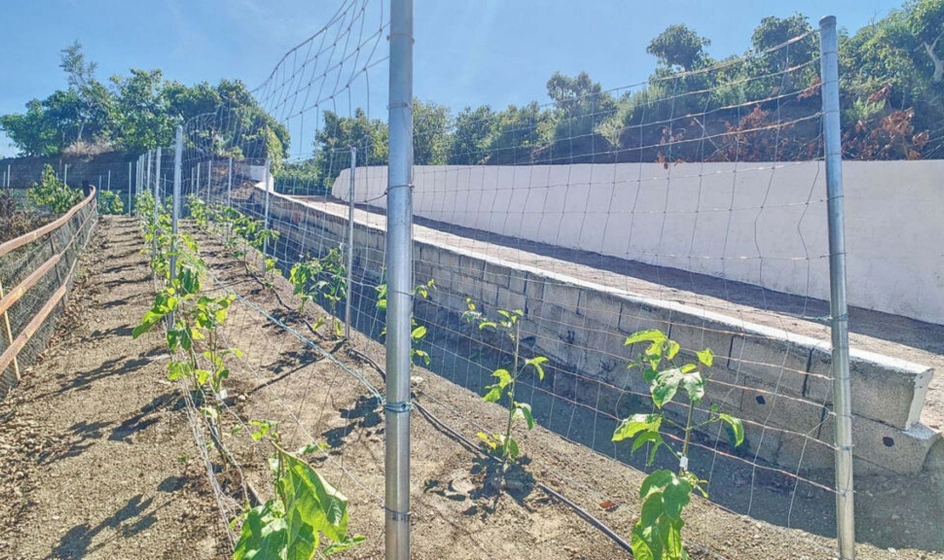 Resale - House -
Vélez-Málaga