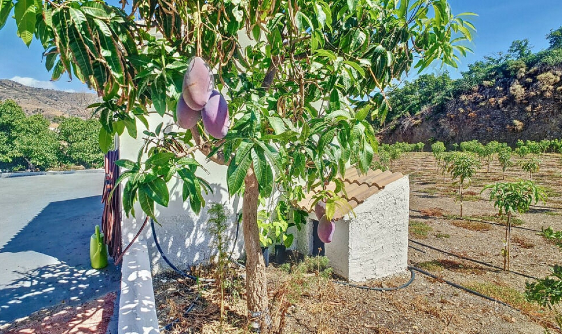 Resale - House -
Vélez-Málaga