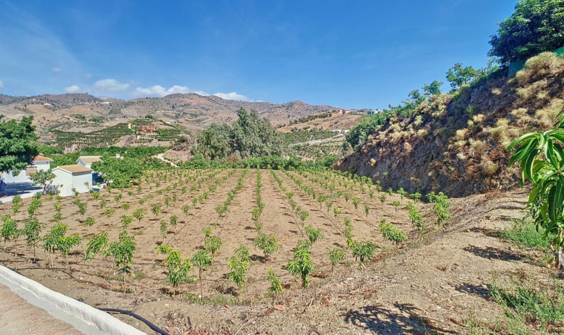 Resale - House -
Vélez-Málaga