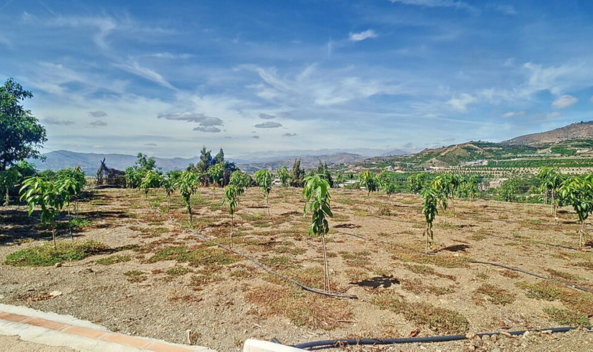 Resale - House -
Vélez-Málaga