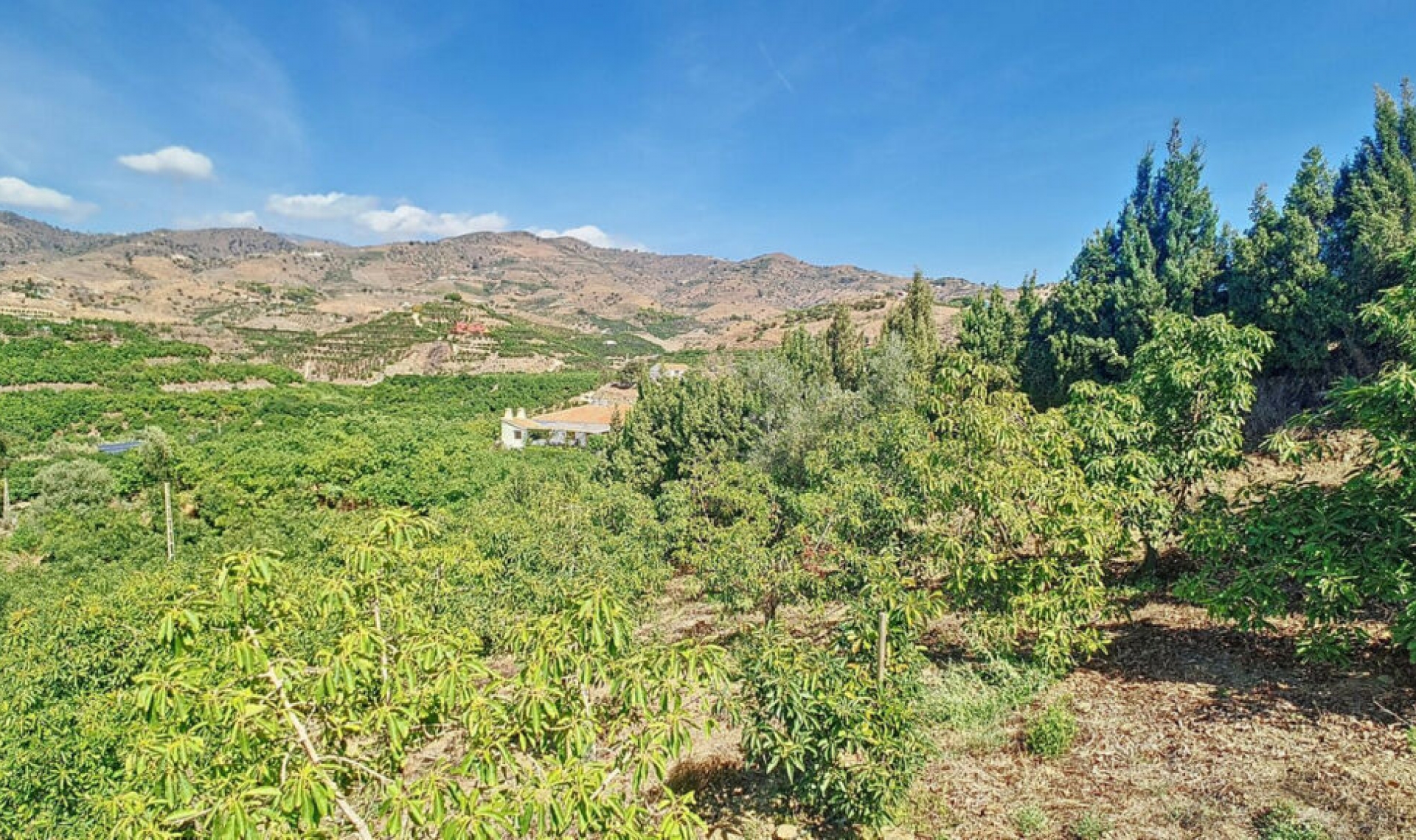 Resale - House -
Vélez-Málaga