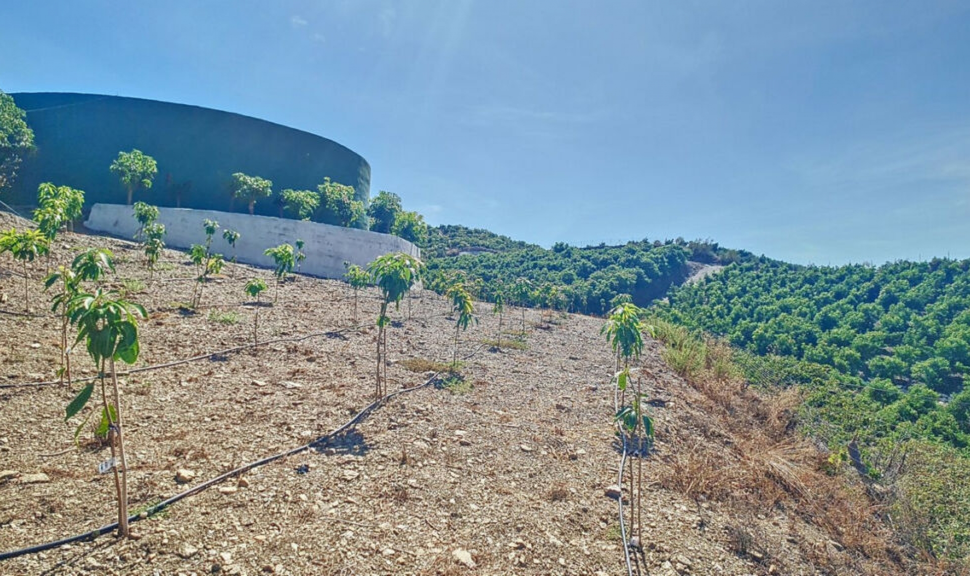 Resale - House -
Vélez-Málaga