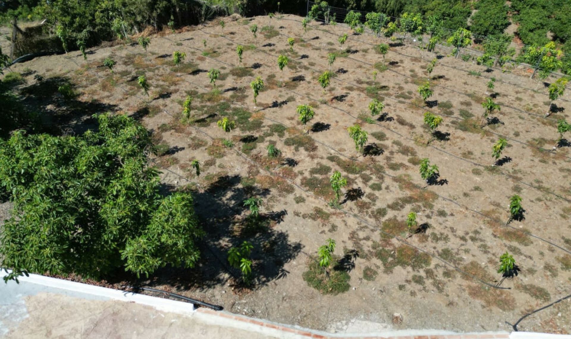 Resale - House -
Vélez-Málaga