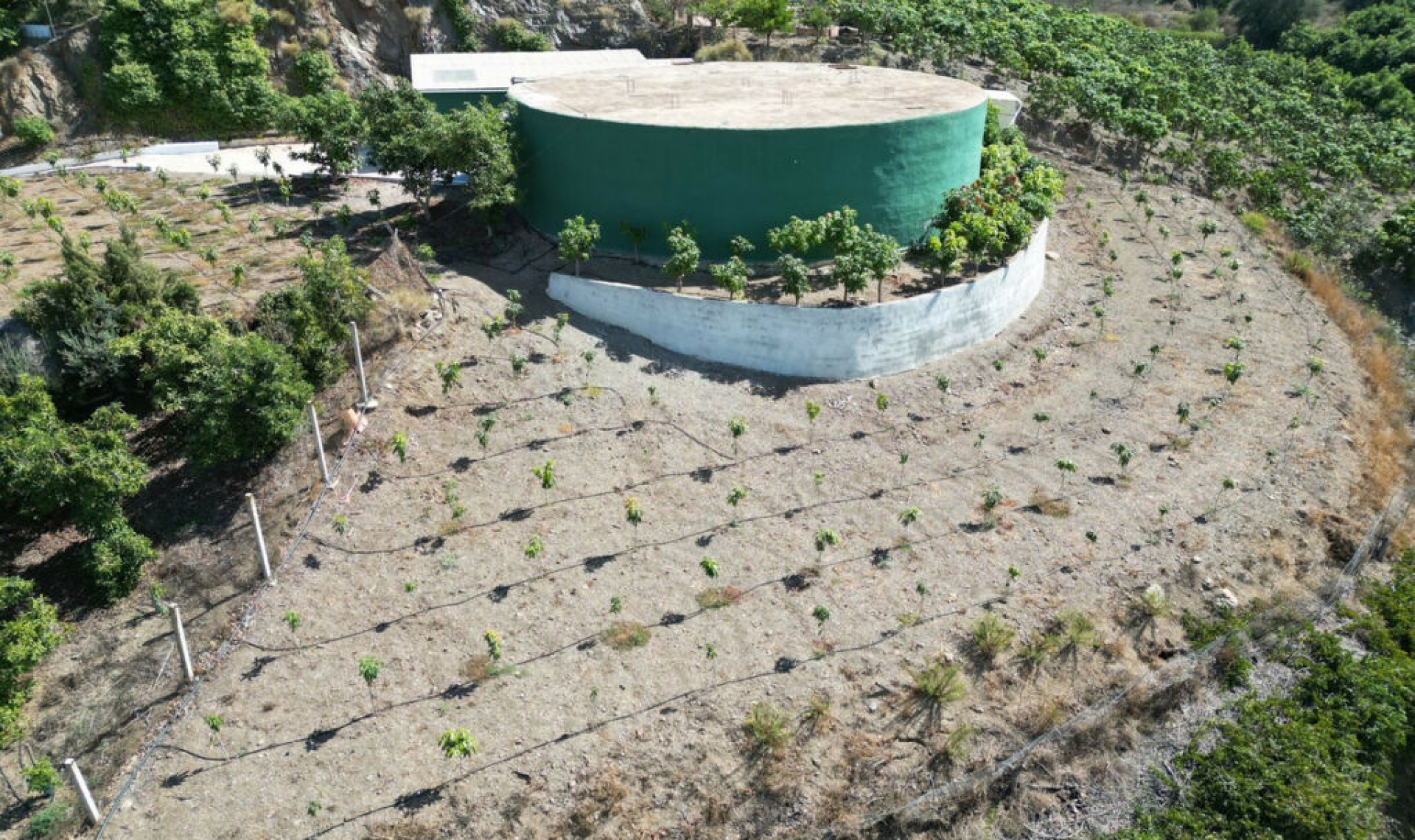 Resale - House -
Vélez-Málaga