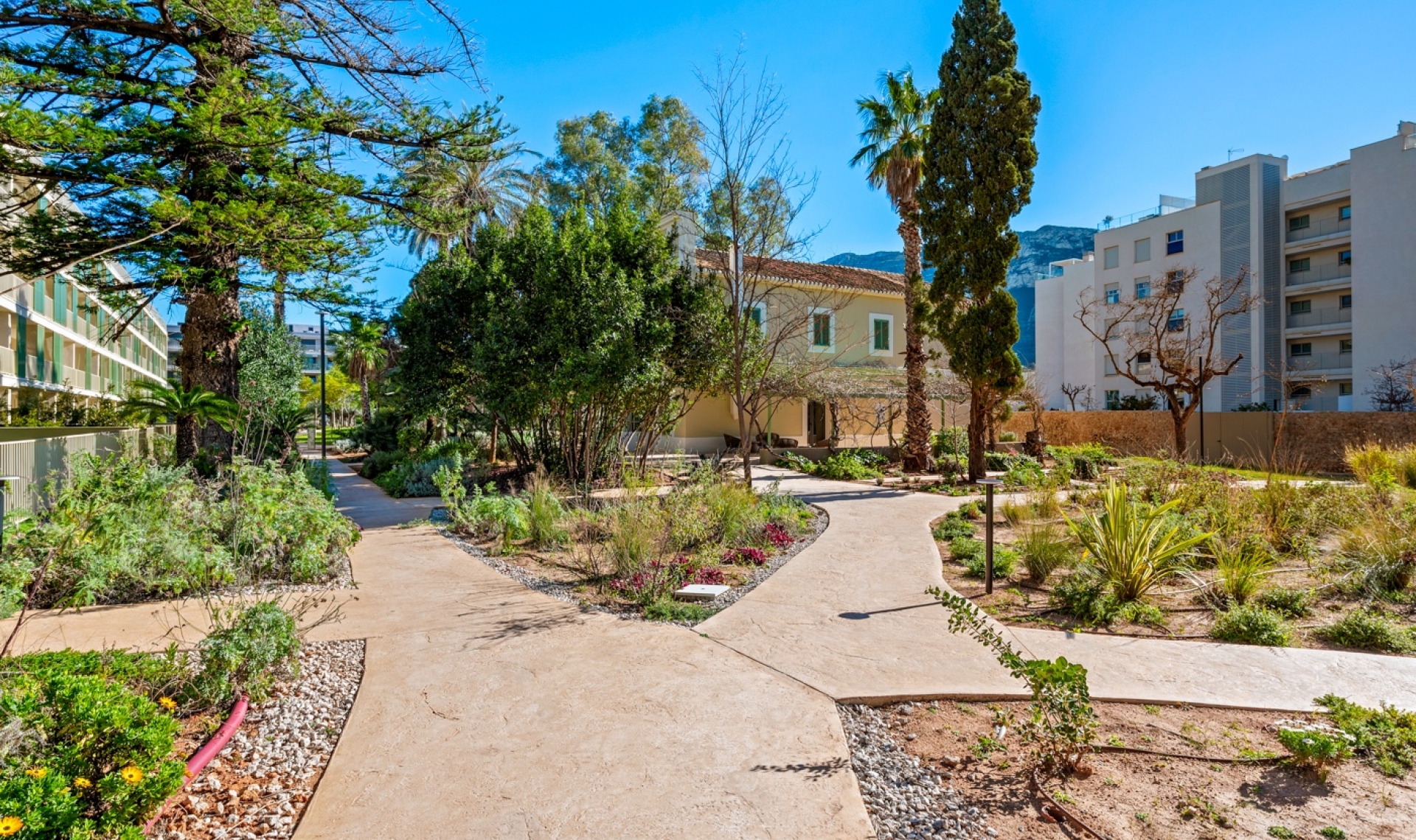 Resale - Penthouse -
Denia - Puerto