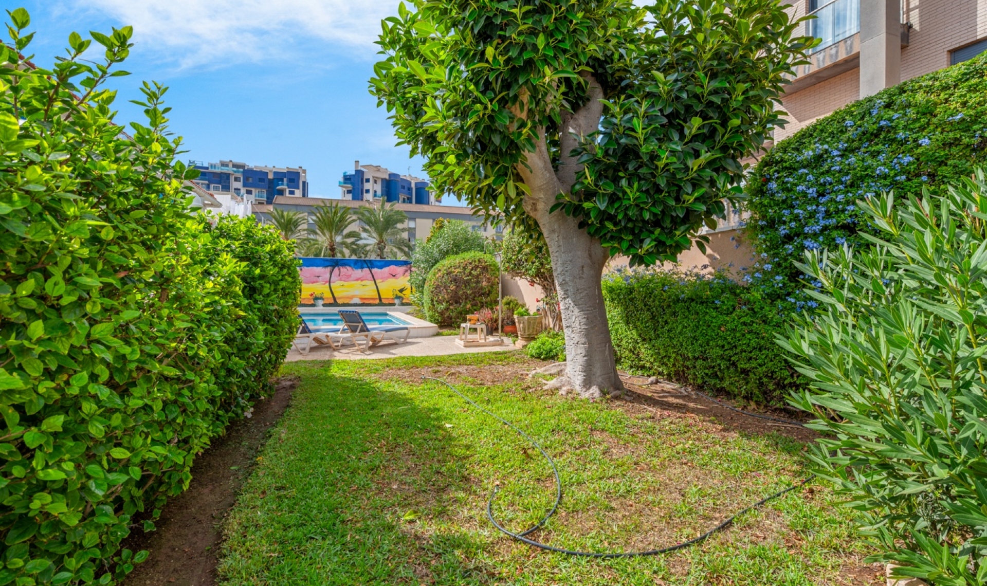 Resale - Semi-detached -
Orihuela Costa - Punta Prima