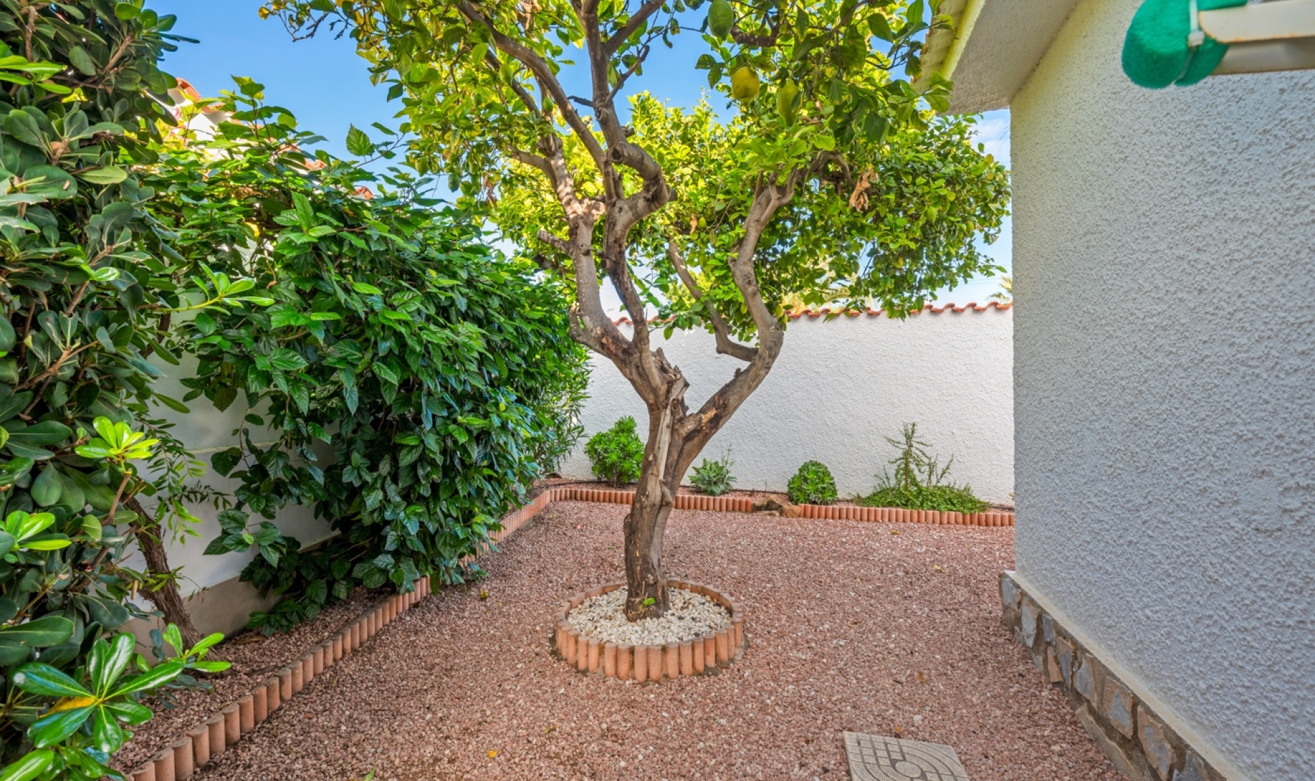 Resale - Villa -
Ciudad Quesada - Rojales - Rojales