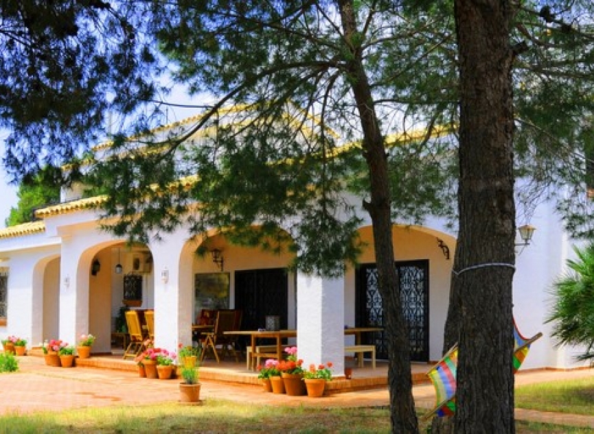Resale - Villa -
Elche/Elx